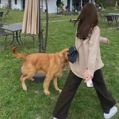 老公不是人